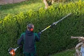 Hedge Removal