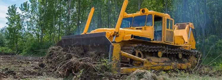 Land Clearance